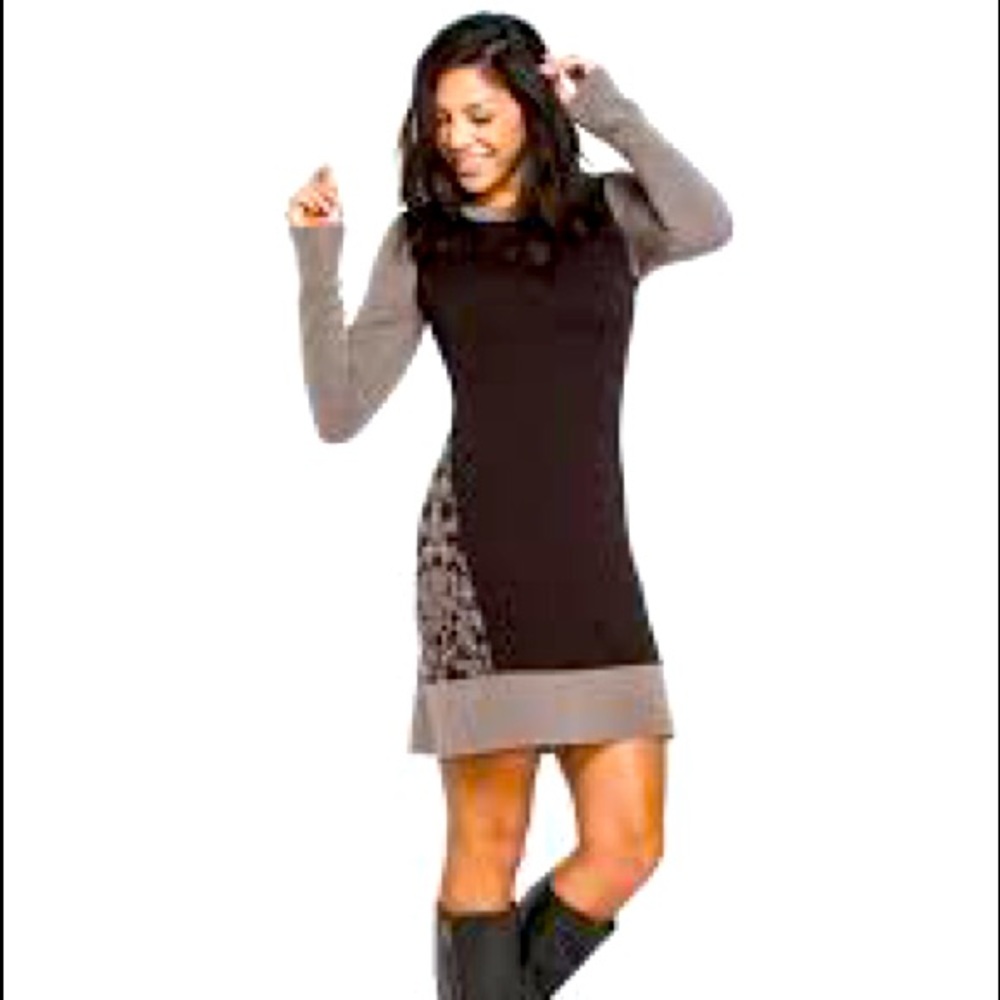 Toad & Co The Lucianna Sweater Dress Merino Wool